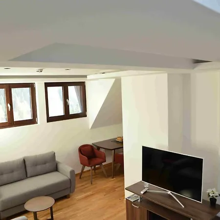 Apartment Irina *