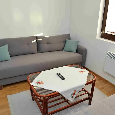 Apartment Irina *